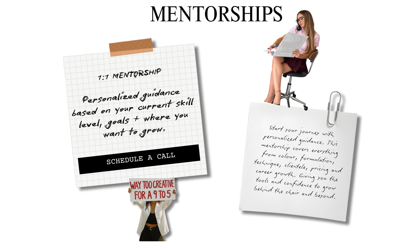 Mentorships, 1:1 mentorship